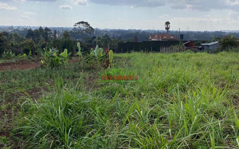 Residential Plots For Sale In Kikuyu Muguga Kerwa.