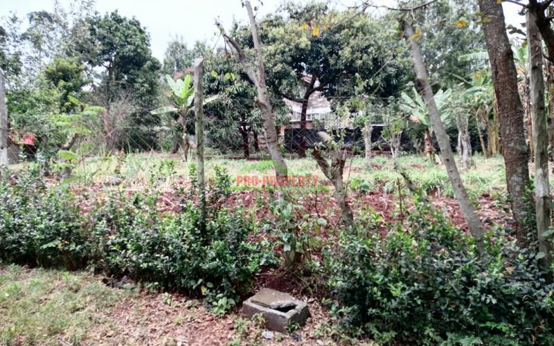 Prime Plot For Sale In Ngong,upper Matasia.