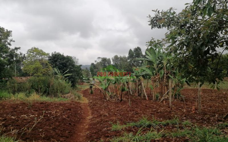 Prime Residential Plot For Sale In Kikuyu, Gikambura.