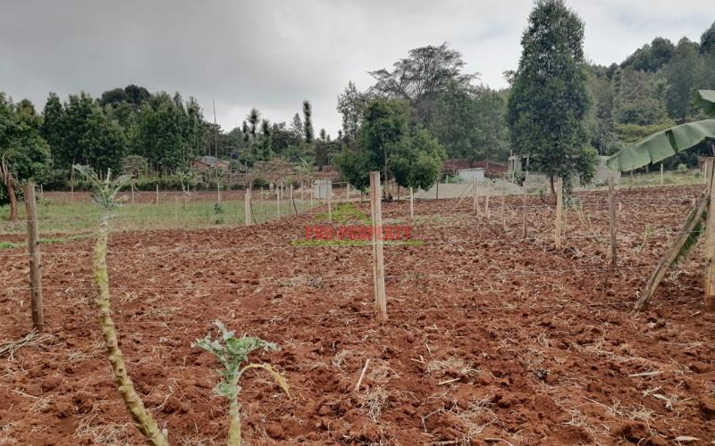 Prime Residential Plot For Sale In Kikuyu, Gikambura.