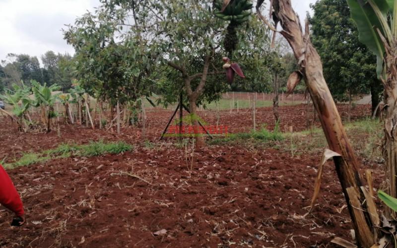 Prime Residential Plot For Sale In Kikuyu, Gikambura.