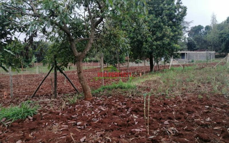 Prime Residential Plot For Sale In Kikuyu, Gikambura.