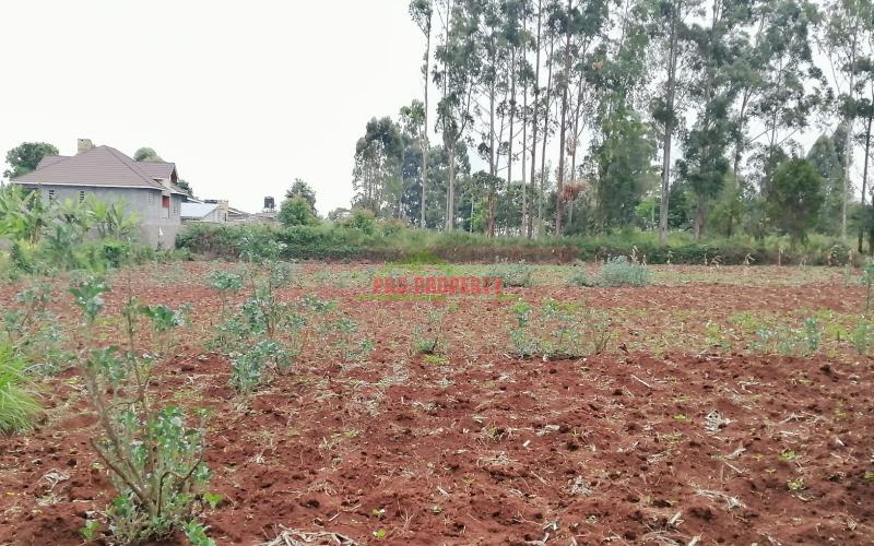 Prime Residential Plot For Sale In Kikuyu, Gikambura.