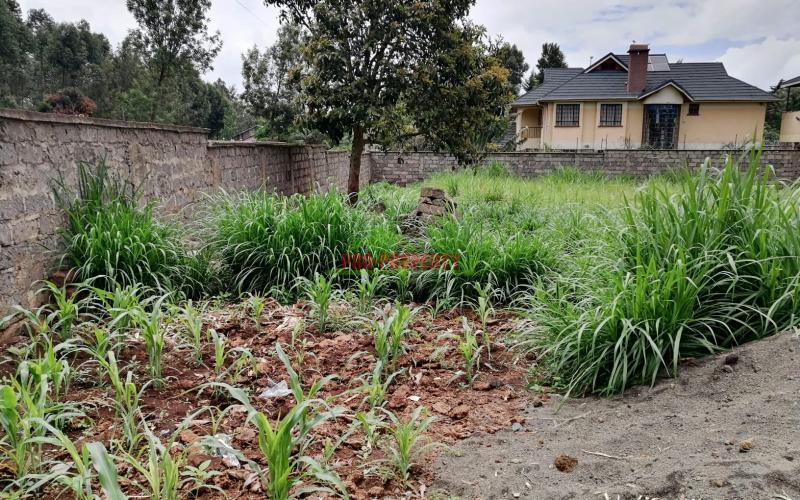 Prime Plot For Sale In Kikuyu, Thogoto.