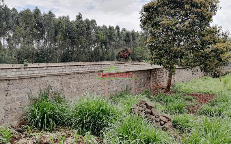Prime Plot For Sale In Kikuyu, Thogoto.
