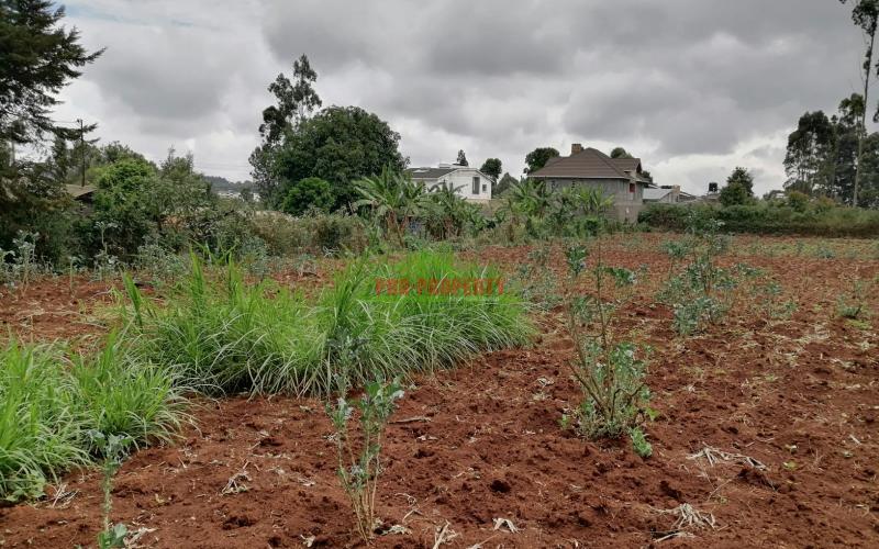 Prime Residential Plot For Sale In Kikuyu, Gikambura.