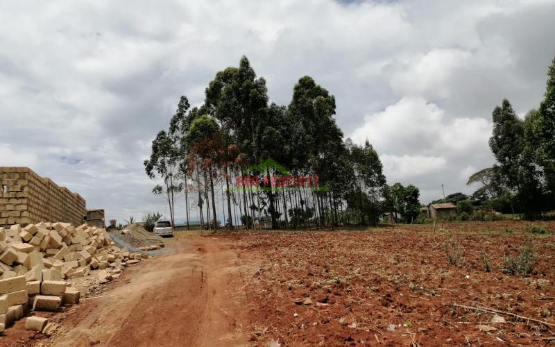 Prime Plot For Sale In Kikuyu, Gikambura.