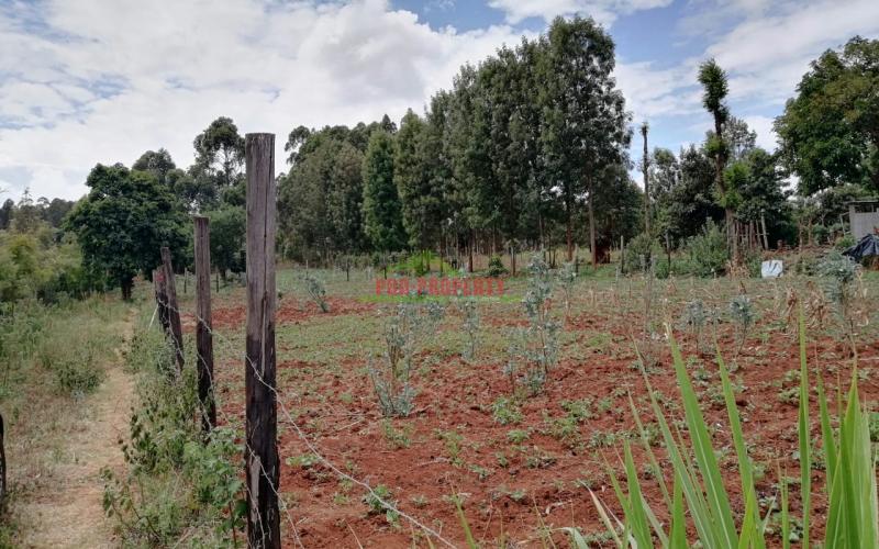 Prime Plot For Sale In Kikuyu, Gikambura.