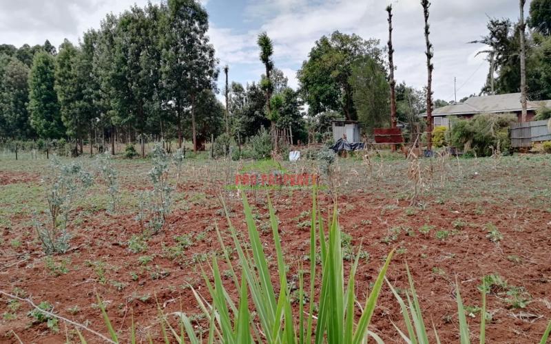 Prime Plot For Sale In Kikuyu, Gikambura.