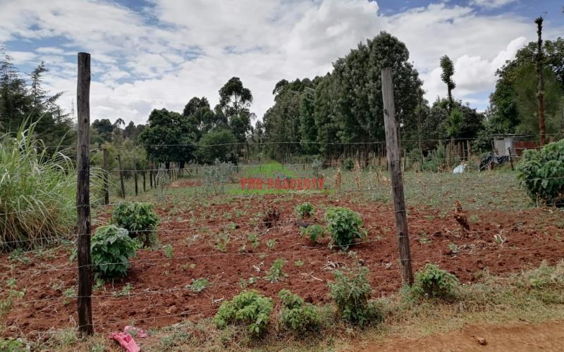 Prime Plot For Sale In Kikuyu, Gikambura.