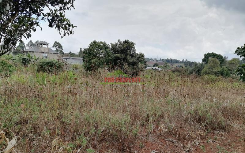 Prime Plot For Sale In Kikuyu, Thogoto.