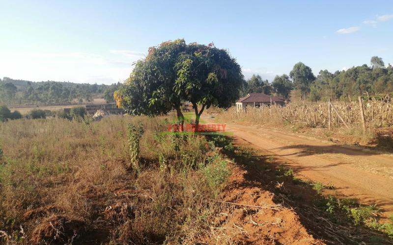 Prime Plot For Sale In Kikuyu, Kamangu.