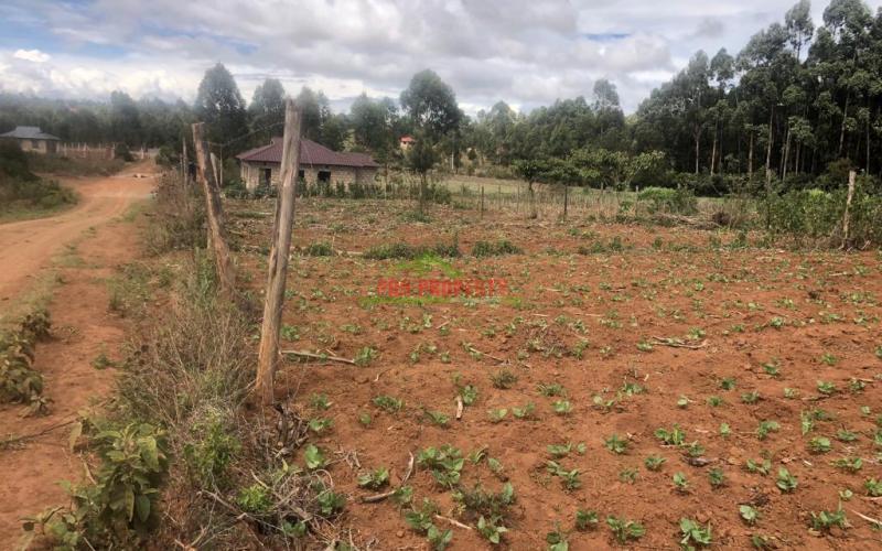 Prime Plot For Sale In Kamangu.