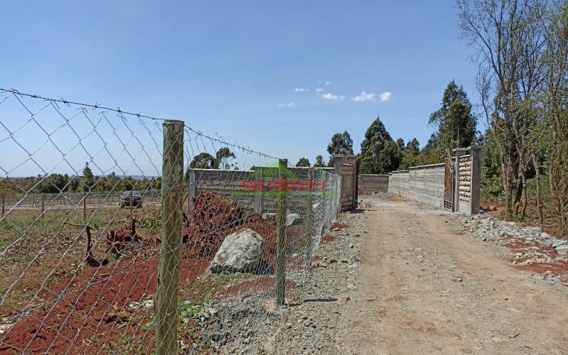 50×100 Prime Residential Plot For Sale