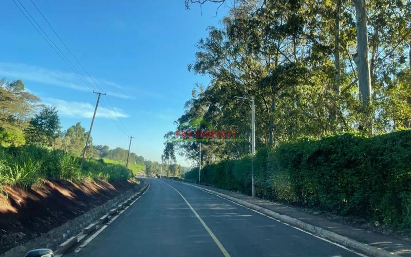 Commercial Plot For Sale In Zambezi, Nderi.