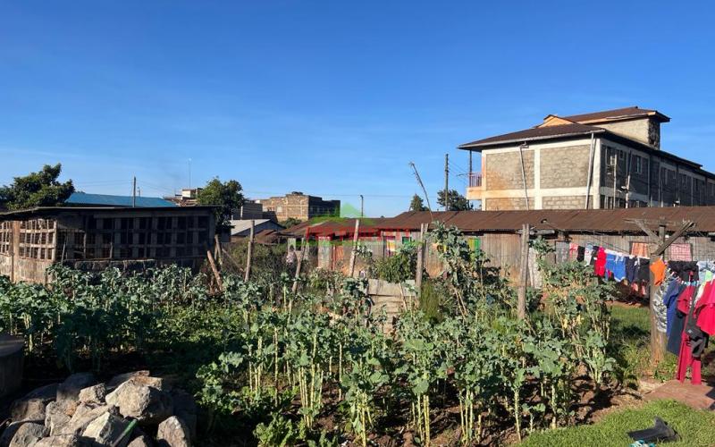 Commercial Plot For Sale In Zambezi, Nderi.