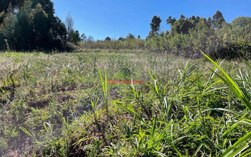 Prime Plot For Sale On Tarmac In Kikuyu, Kamangu.