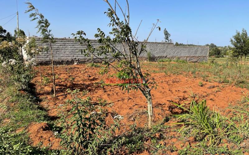 Prime Residential Plot For Sale In Kikuyu, Kamangu.