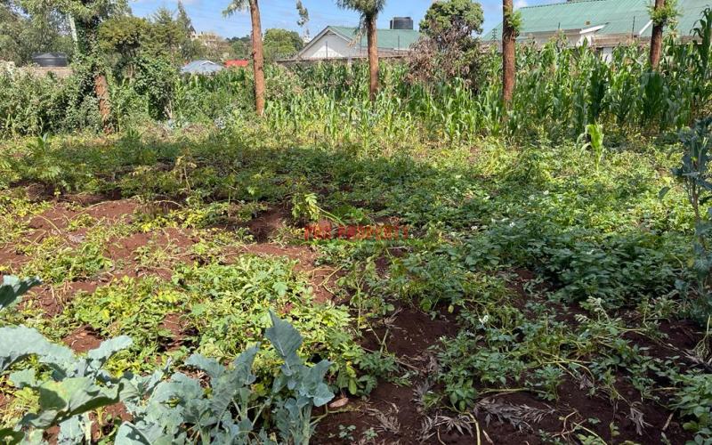 Commercial Plot For Sale In Kikuyu, Gitaru (along Waiyaki Way)