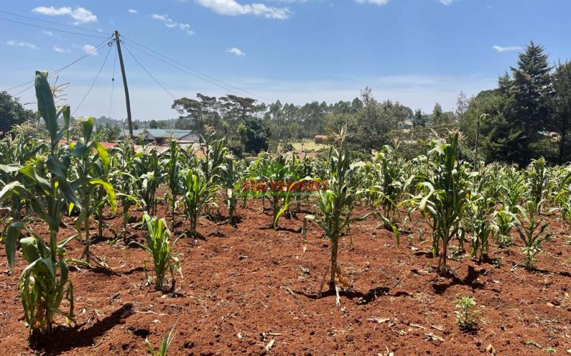 Prime  Commercial Plot For Sale In Kikuyu, Gikambura (kiambu County)