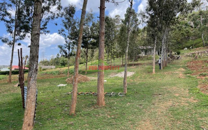 Prime Residential Plot For Sale In Kikuyu, Lusigetti.