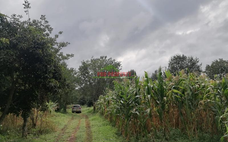 Prime Plot For Sale In Kikuyu, Gikambura