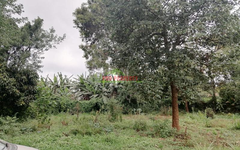 Prime Plot For Sale In Kikuyu, Gikambura