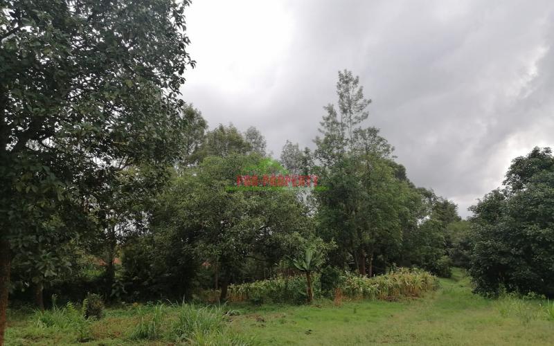 Prime Plot For Sale In Kikuyu, Gikambura