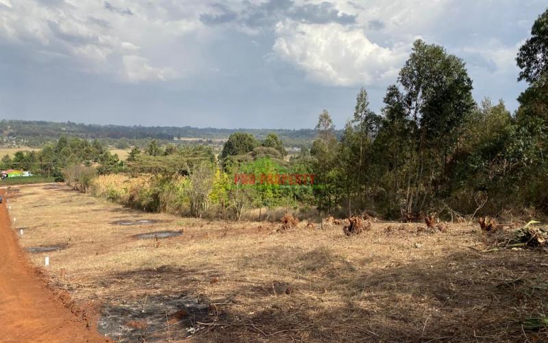 Prime Residential Plots For Sale In Kikuyu,kamangu (migumoini Area)-kiambu County.