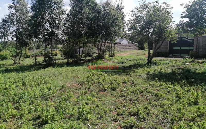 50 Ftx100 Ft Plot For Sale In Kikuyu, Lusigetti.