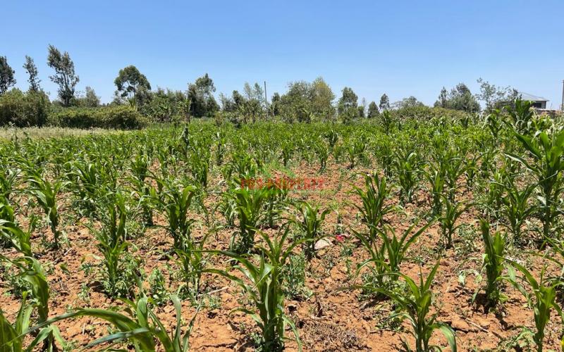 Residential Plot For Sale In Kikuyu, Kamangu-kiambu County.