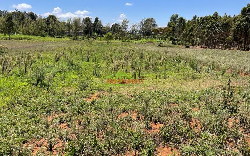 One Acre Land For Sale In Kikuyu, Lusigetti- Kiambu County.