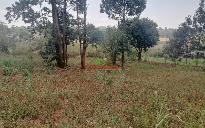 Prime Residetial Plot For Sale In Kikuyu, Gikambura.