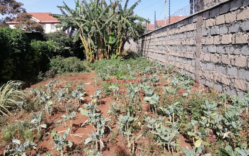 Prime Residential Plot For Sale In Kikuyu, Gikambura.