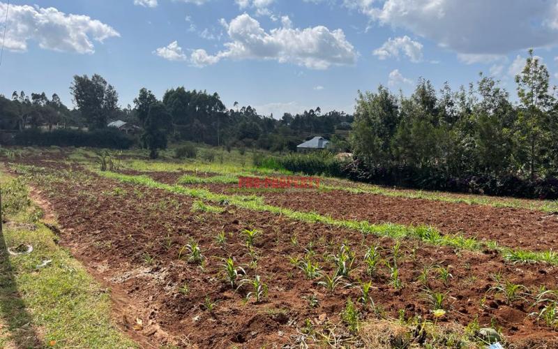 Prime Residential Plot For Sale In Kikuyu, Gikambura.