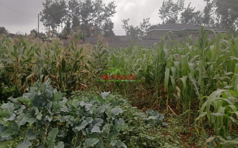 Plot In Kikuyu, Gikambura.