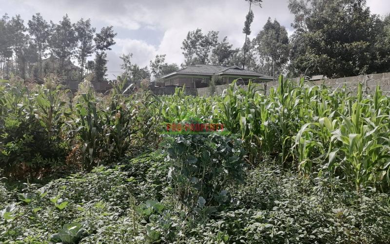 Plot In Kikuyu, Gikambura.