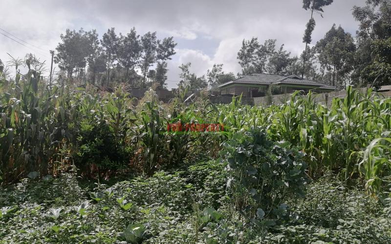 Plot In Kikuyu, Gikambura.