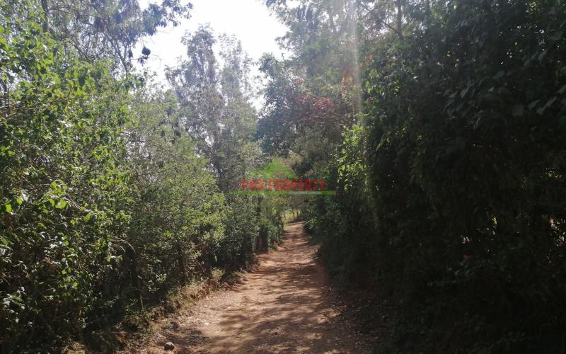 Prime Residential Plot In Ngong, Kibiko.