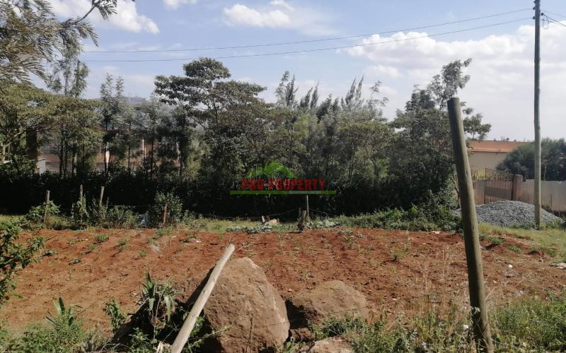 Prime Residential Plot In Ngong, Kibiko.
