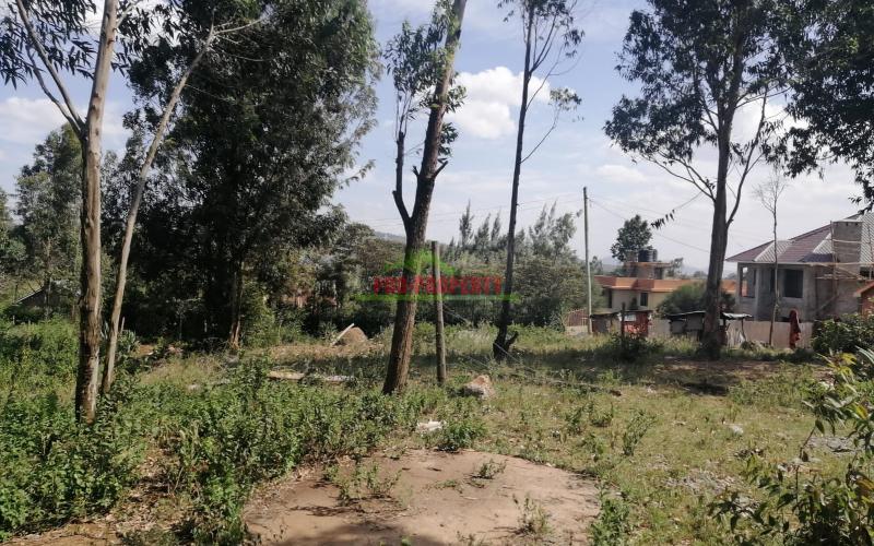 Prime Residential Plot In Ngong, Kibiko.