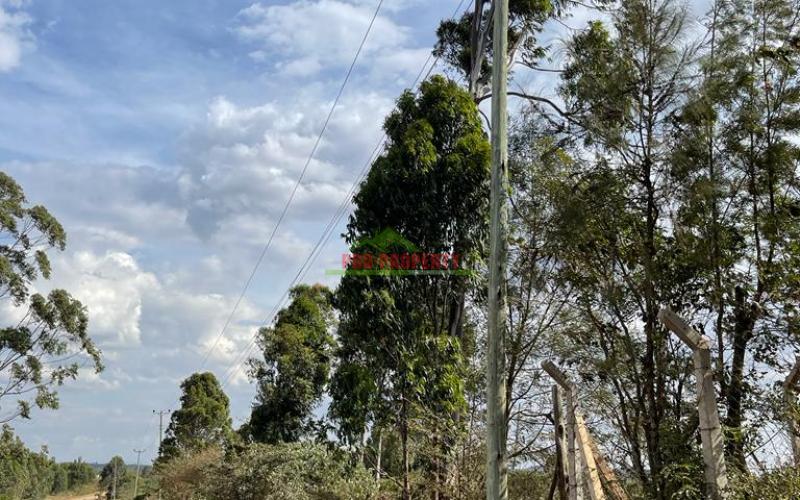 Plots For Sale In Kikuyu, Kamangu (nachu) Kiambu County.
