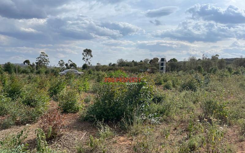 Plots For Sale In Kikuyu, Kamangu (nachu) Kiambu County.