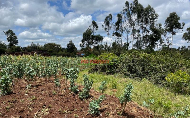Prime Land For Sale In Limuru, Kamandura.