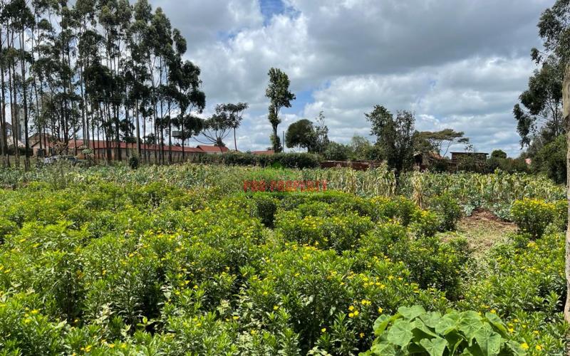 Prime Land For Sale In Limuru, Kamandura.