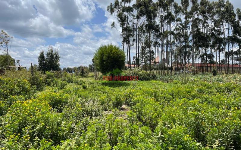 Prime Land For Sale In Limuru, Kamandura.