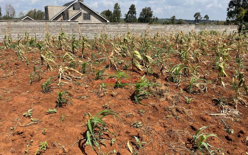 Residential Plot For Sale In Kikuyu, Gikambura (riu-nderi)-kiambu County.