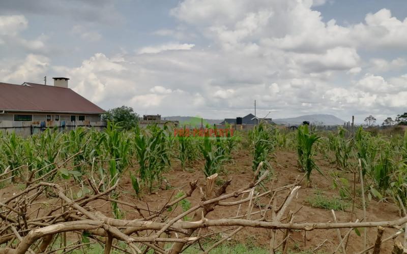 Prime Residential Plot For Sale In Kikuyu, Kamangu.