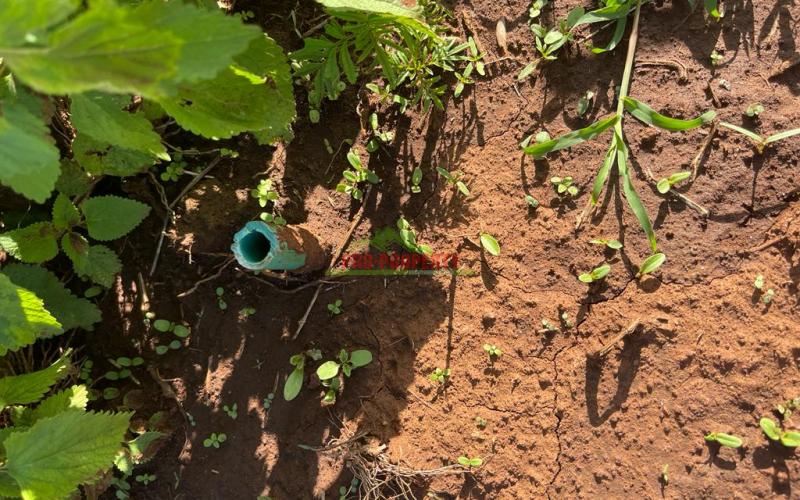 Plot For Sale In Kikuyu Rose Gate