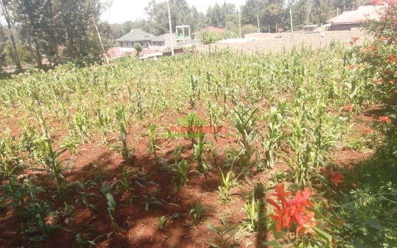Plot For Sale In Kikuyu, Gikambura.